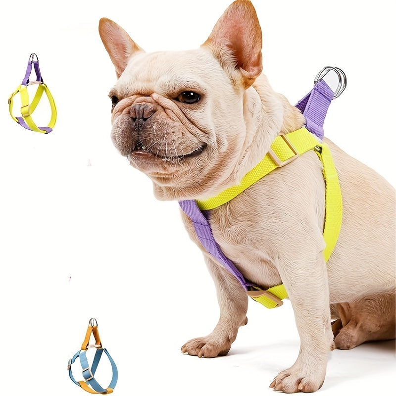 Gassi-Gurt für Hunde